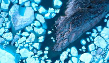 Arctique m&eacute;thane