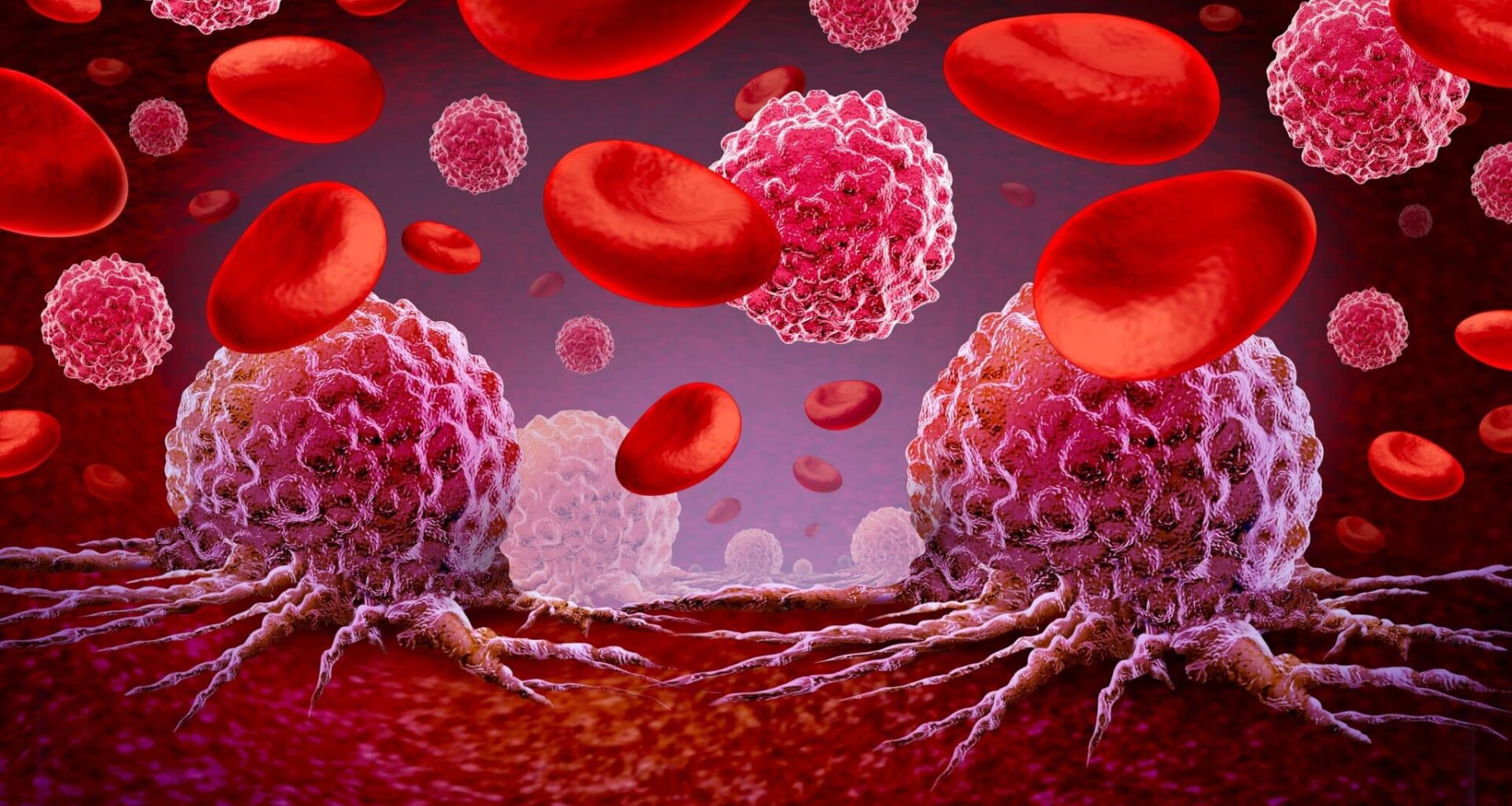 Un allié inattendu pourrait devenir l'arme secrète contre certains cancers du sang parmi les plus tenaces