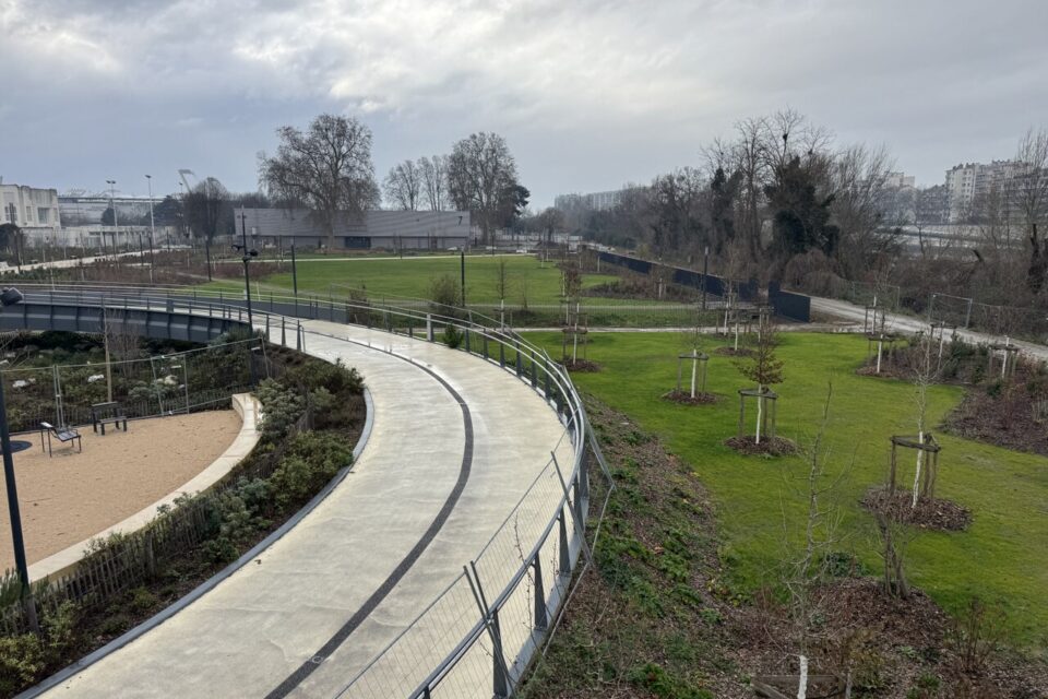 40 000 plantations ont été réalisées en un an.