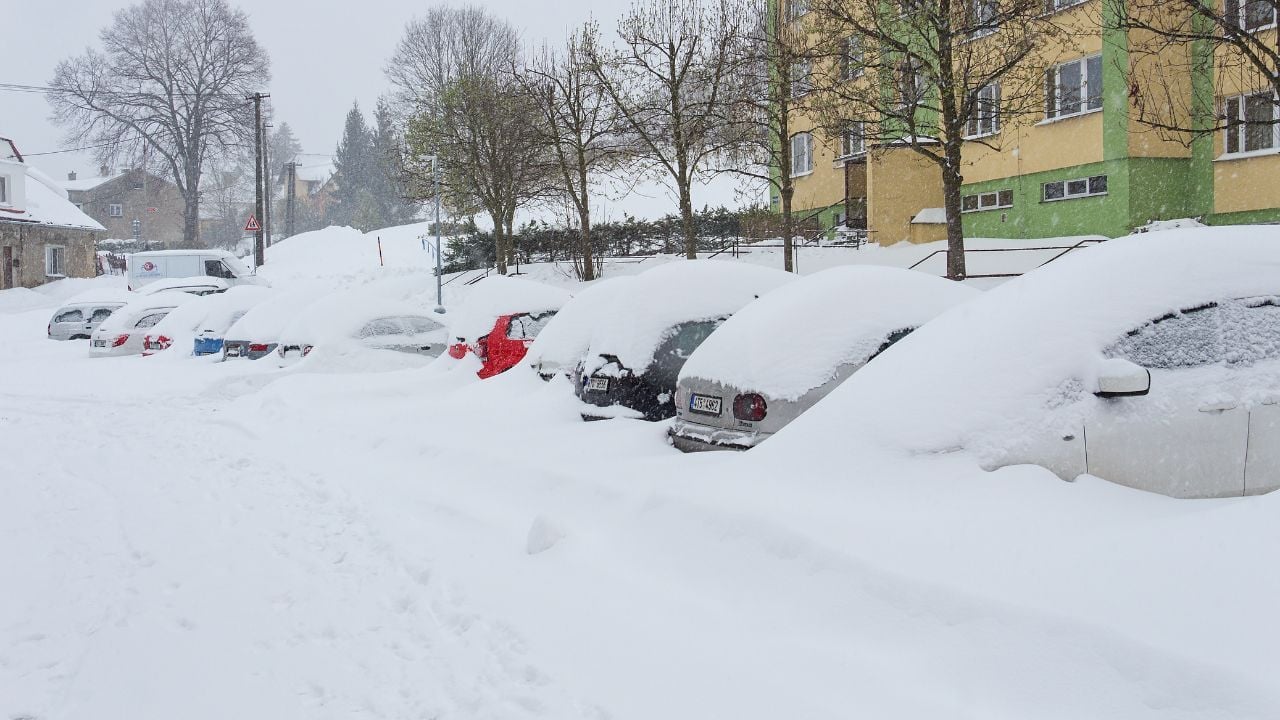 Neige qui recouvre les voitures