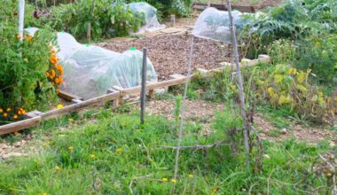 Le corps du psychologue retrouvé dans son jardin, son fils mis en examen à Nîmes