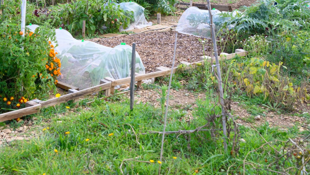 Le corps du psychologue retrouvé dans son jardin, son fils mis en examen à Nîmes