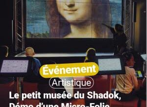 Illustration Le petit musée du Shadok : “démo d