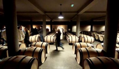 Vins de Bordeaux. Au discret château Fieuzal, « on invite à redécouvrir qui se cache derrière nos vins »