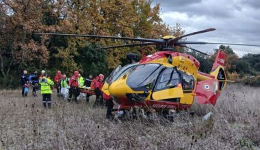 Deux chasseurs blessés, dont un grièvement après avoir été chargés par un sanglier