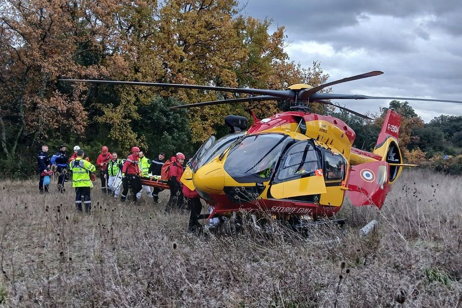 Deux chasseurs blessés, dont un grièvement après avoir été chargés par un sanglier