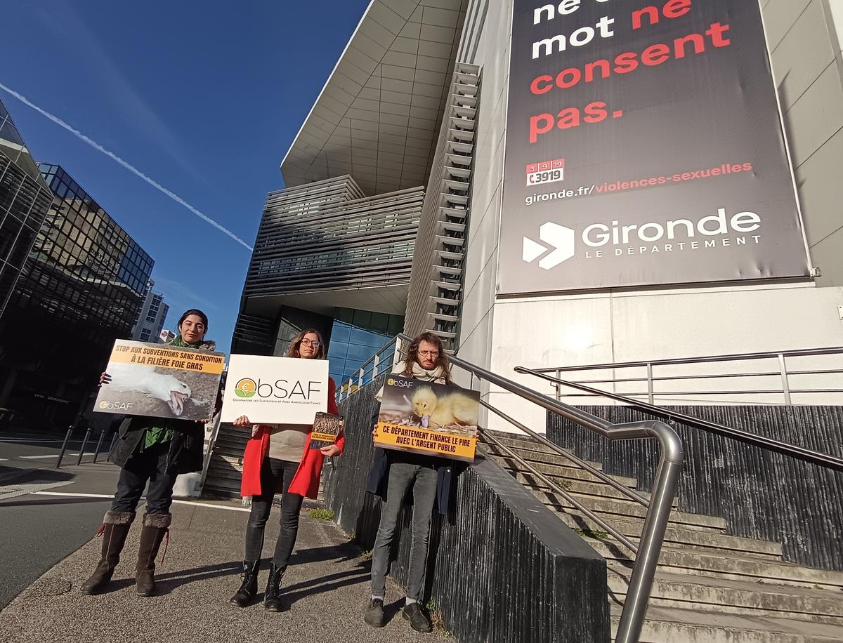 À Bordeaux, des militants ciblent l’argent public alloué à la filière du foie gras