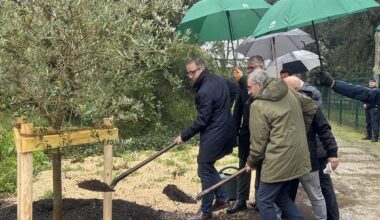 À Bordeaux, un olivier planté en mémoire d’Ilan Halimi