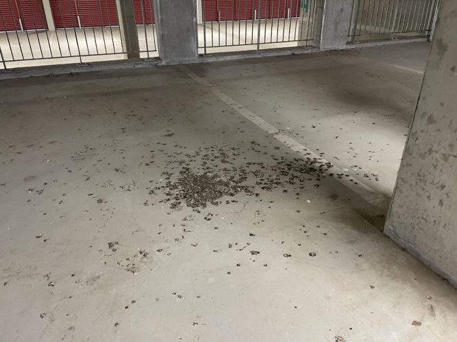 dock 1 parking citadelle