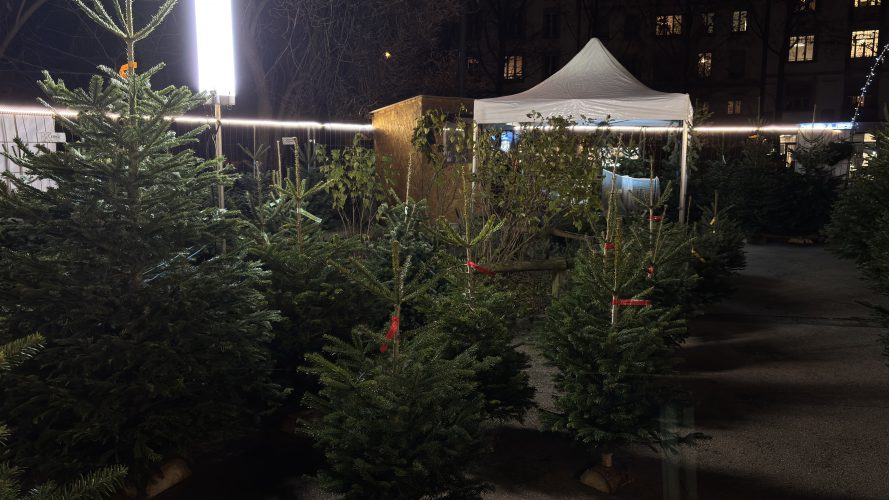 Stand sapin strasbourg