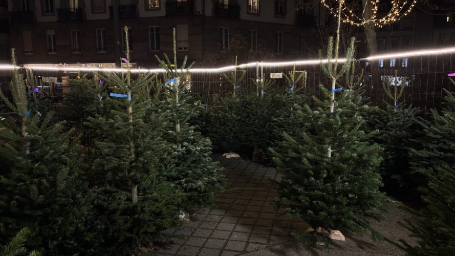 Stand sapin strasbourg