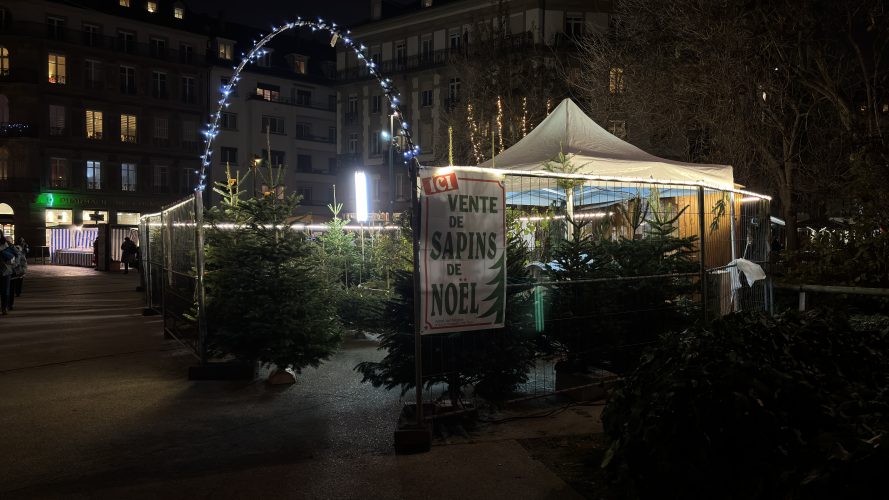 Stand sapin strasbourg