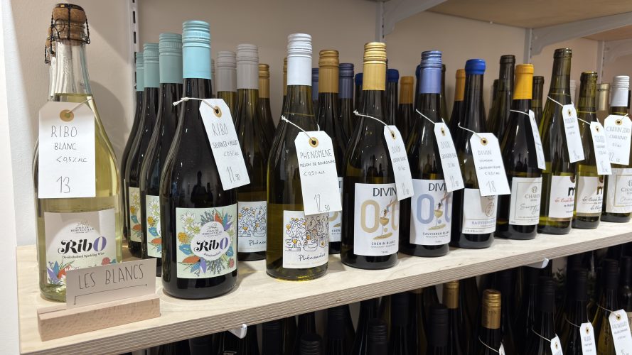 Le cactus de barnabé