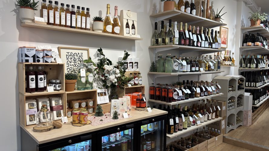 Le cactus de barnabé