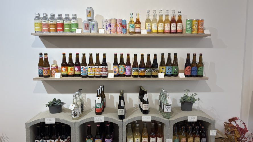 Le cactus de barnabé