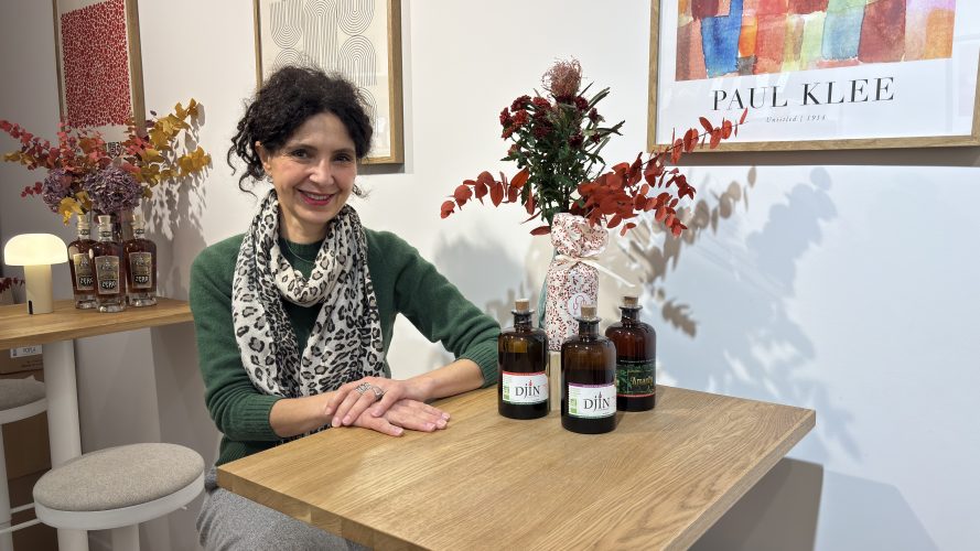 Le cactus de barnabé