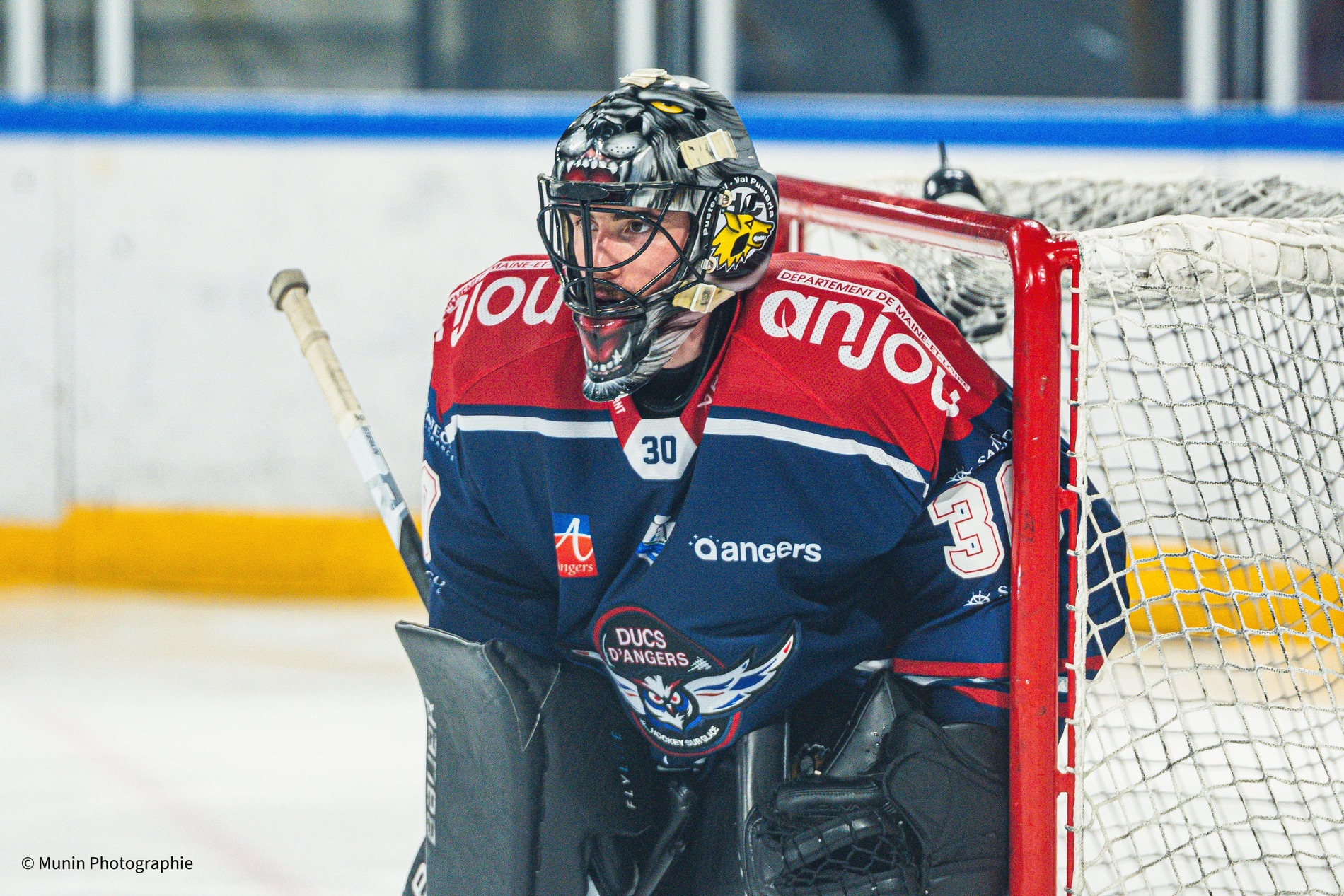 img 2138 (1) (1) (1)