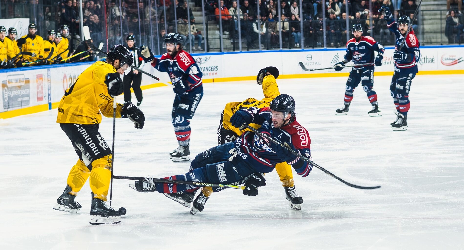 Rouen s'empare du dernier ticket pour les demi-finales