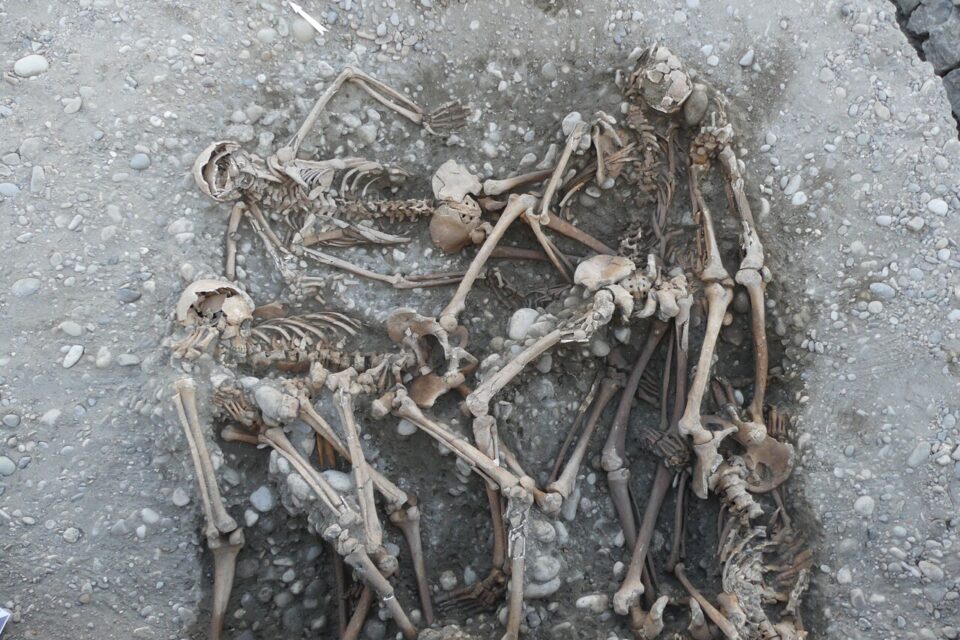 Des fosses communes et restes humains ont été retrouvés par les archéologues à l'Esplanade de Grenoble.