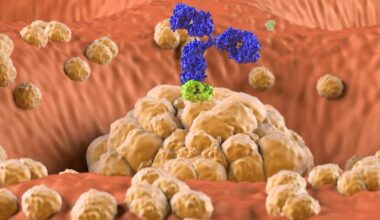 Des variations du génome peuvent annihiler l'effet de médicaments