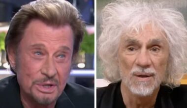 Johnny Hallyday et Louis Bertignac