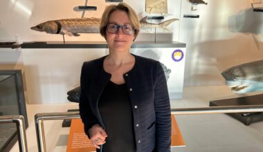 Qui est Juliette Galpin, la nouvelle directrice du Muséum-Aquarium de Nancy ?