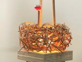 La lampe Chemi-nid de Léonard Tornike chez Libre objet. Photo Dr