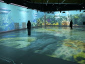 La nouvelle salle Océan 360 à l'aquarium de Lyon à La Mulatière. Photo Maxime Jegat