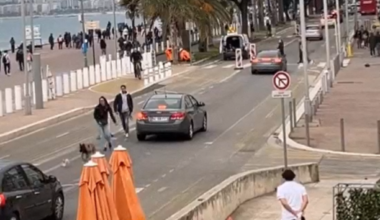 Nice. Lapin coursé par un chien, auto-école en Porsche... Les dix informations insolites de 2025
