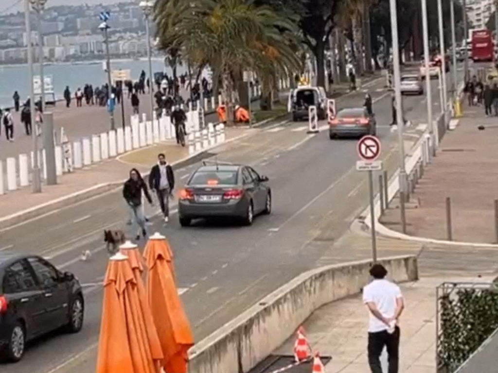 Nice. Lapin coursé par un chien, auto-école en Porsche... Les dix informations insolites de 2025