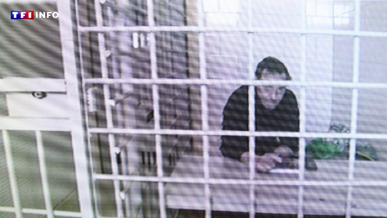 EXCLUSIF - Affaire Laurent Vinatier : le Kremlin annonce à TF1-LCI avoir fait "une proposition" à Paris