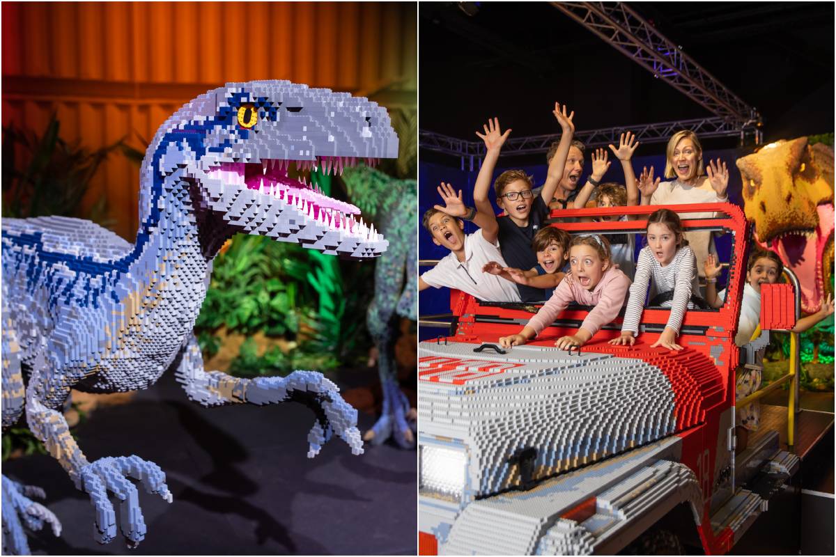 Un Jurassic Park de Steven Spielberg avec des dinosaures à taille réelle entièrement recréé à partir de 6 millions de LEGO®, c’est le pari complètement fou relevé par LEGO® Jurassic World par Brickman, bientôt aux portes de Paris