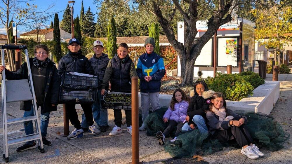 Les jeunes élus du CMJ déjà pleinement engagés à Saint-Étienne-du-Grès avec une récolte de 44 kg d'olives