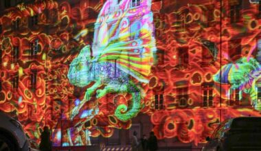 Deux artistes martégaux reviennent de Lyon, auréolés du trophée des lumières