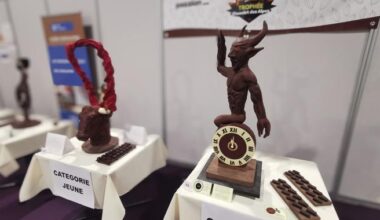 Les Démons de Minuit (Léonie Meyer - lauréat Jeune)