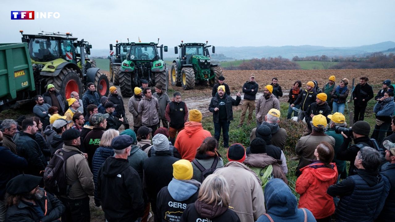 Dermatose nodulaire : blocage d'axes routiers, le gouvernement maintient sa stratégie d'abattage