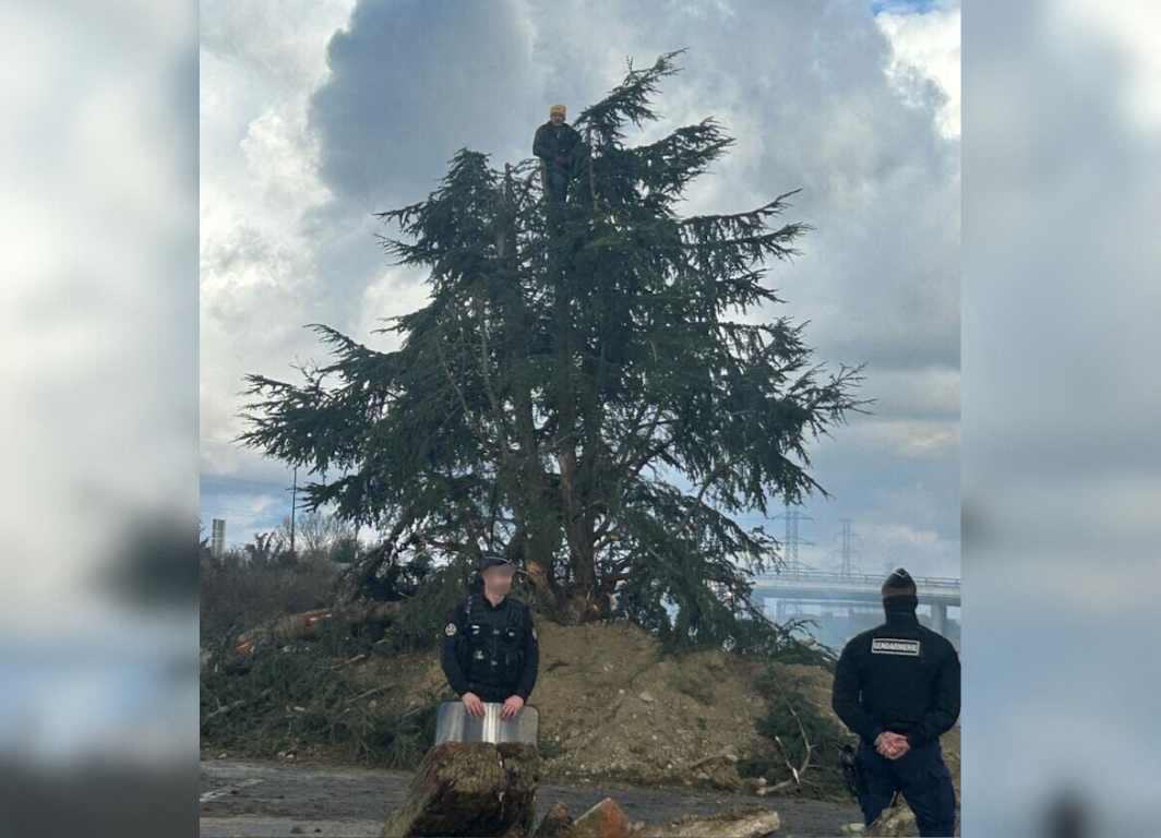 Blocages autour de Toulouse. Au bord de l'A64, un agriculteur perché dans un sapin : "C'est un battant"