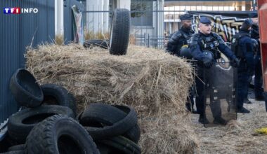 EN DIRECT - Dermatose : le gouvernement confronté à la colère agricole, Genevard attendue dans le Sud-Ouest