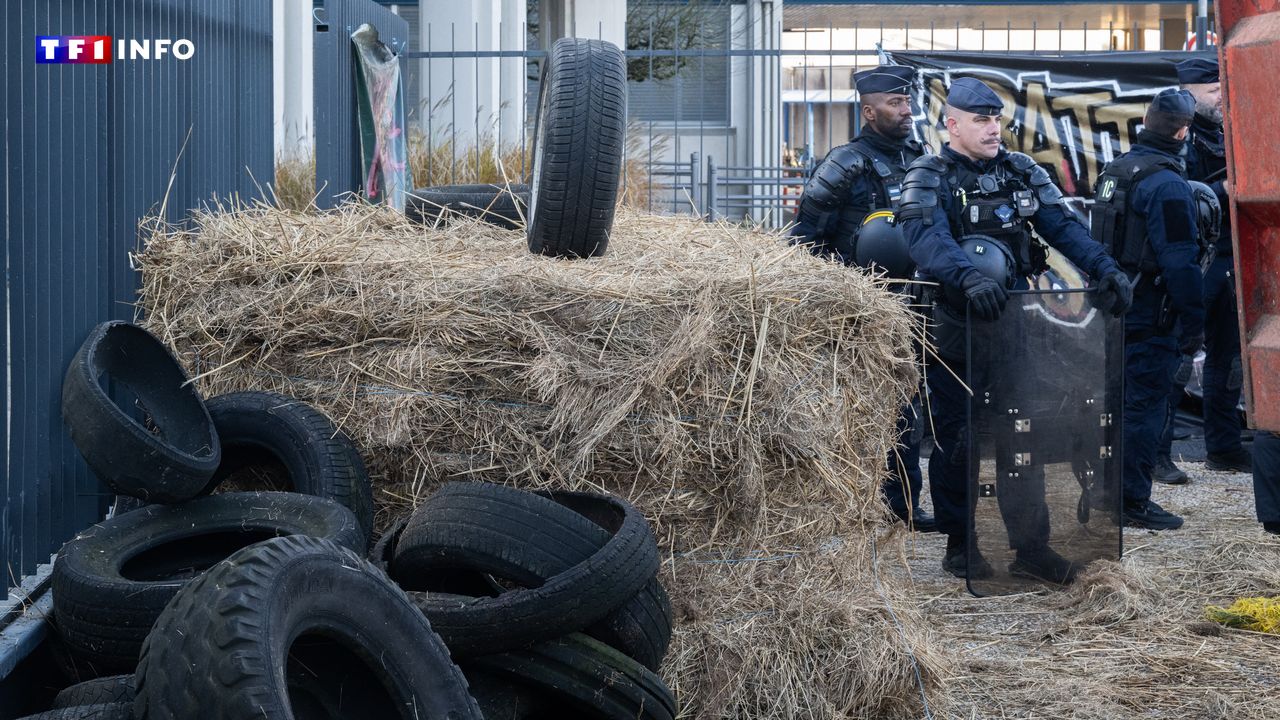 EN DIRECT - Dermatose : le gouvernement confronté à la colère agricole, Genevard attendue dans le Sud-Ouest