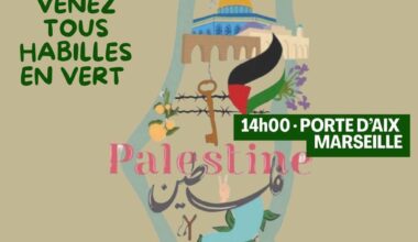 MARSEILLE CONTRE LE SIONISME & POUR LA PALESTINE LIBRE, DIMANCHE 21 DECEMBRE A 14H A LA PORTE D'AIX - International Solidarity Movement