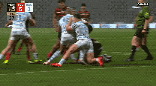 On croirait voir un écureuil géant qui range une noisette entre ses jambes pour la manger pendant l'hiver.