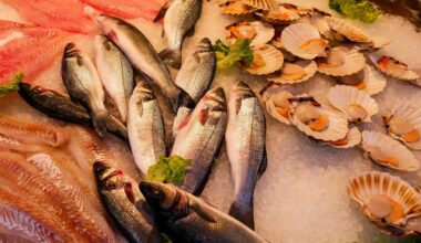 Une étude révèle que les trois-quarts de l'humanité manque d'un nutriment vital pour le cerveau et le cœur !