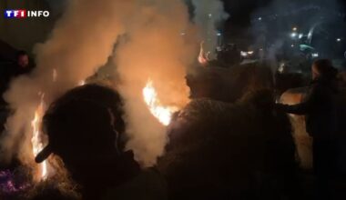 EN DIRECT - Dermatose nodulaire : de nouvelles actions d'agriculteurs prévues dimanche