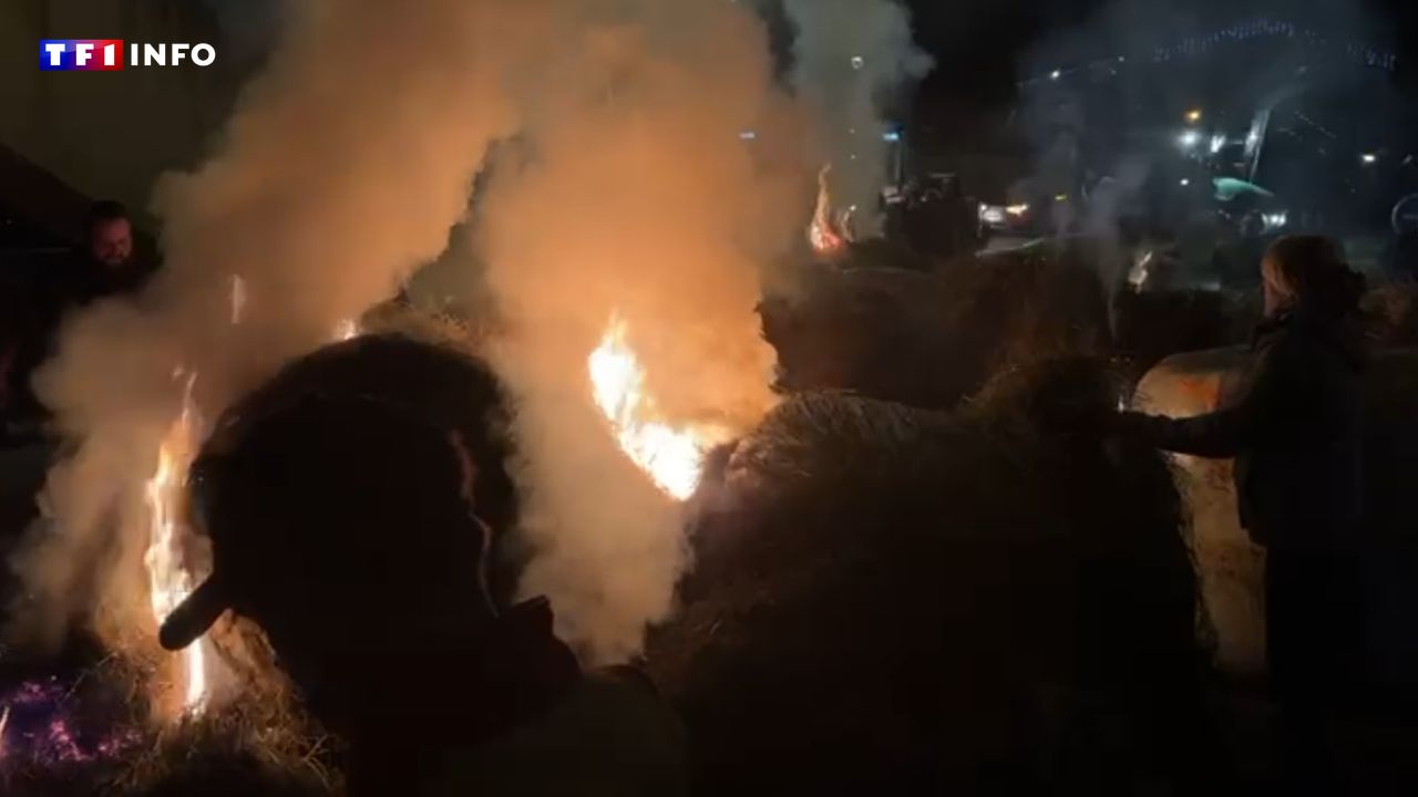 EN DIRECT - Dermatose nodulaire : de nouvelles actions d'agriculteurs prévues dimanche