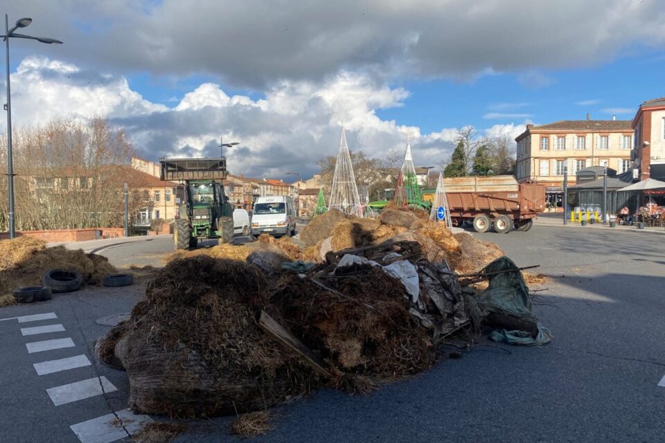 En parallèle, une 2e action s'est organisée dans le centre-ville de Muret.
