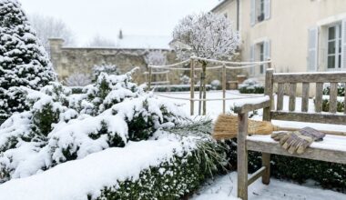 vos plantes ont souffert ? ce geste d'un jardinier pro évite l'erreur qui les condamne