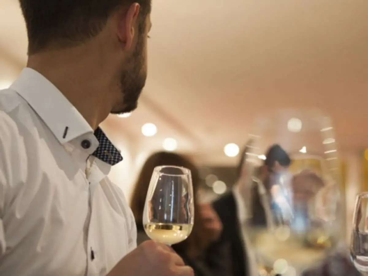 Œnologie et dégustation de vins à Strasbourg (67)