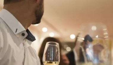 Œnologie et dégustation de vins à Strasbourg (67)