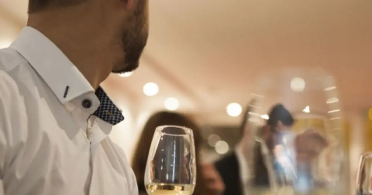 Œnologie et dégustation de vins à Strasbourg (67)