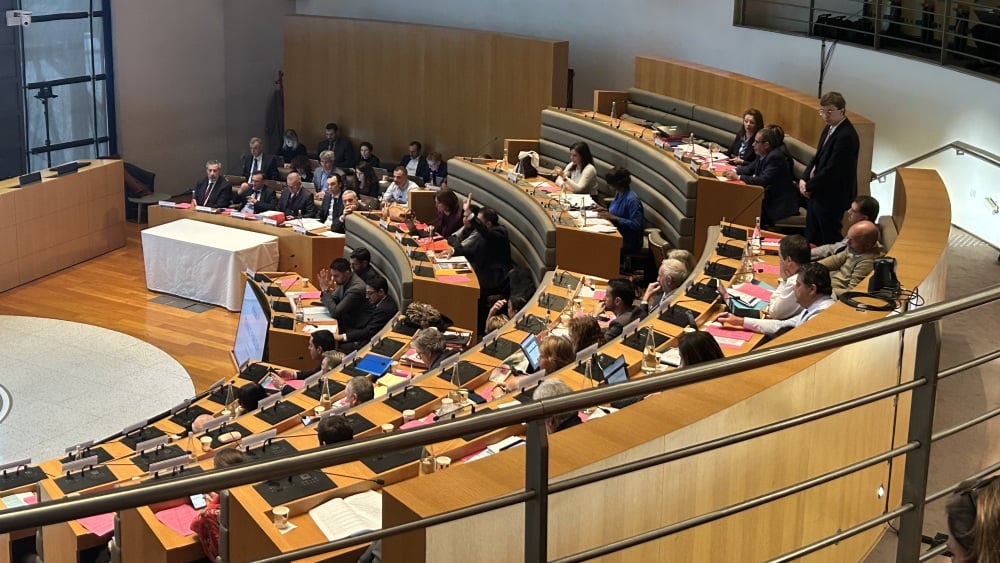 au Département, Nora Preziosi prend ses distances